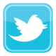 White Twitter bird logo on blue background