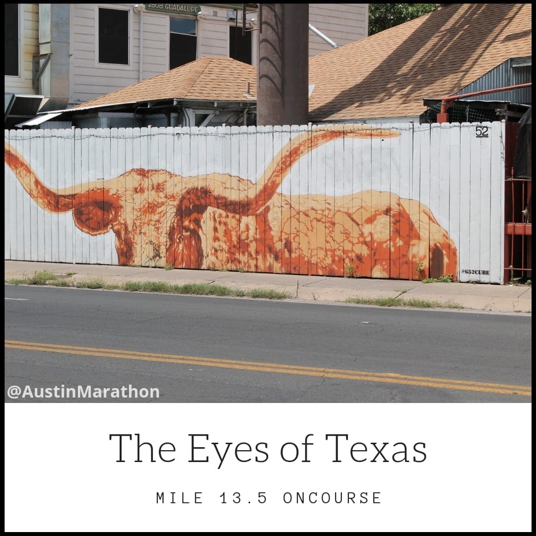 Orange longhorn mural on white fence Orange longhorn mural on white fence