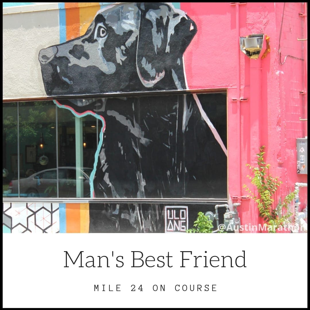 Black dog mural on vibrant pink building Black dog mural on vibrant pink building