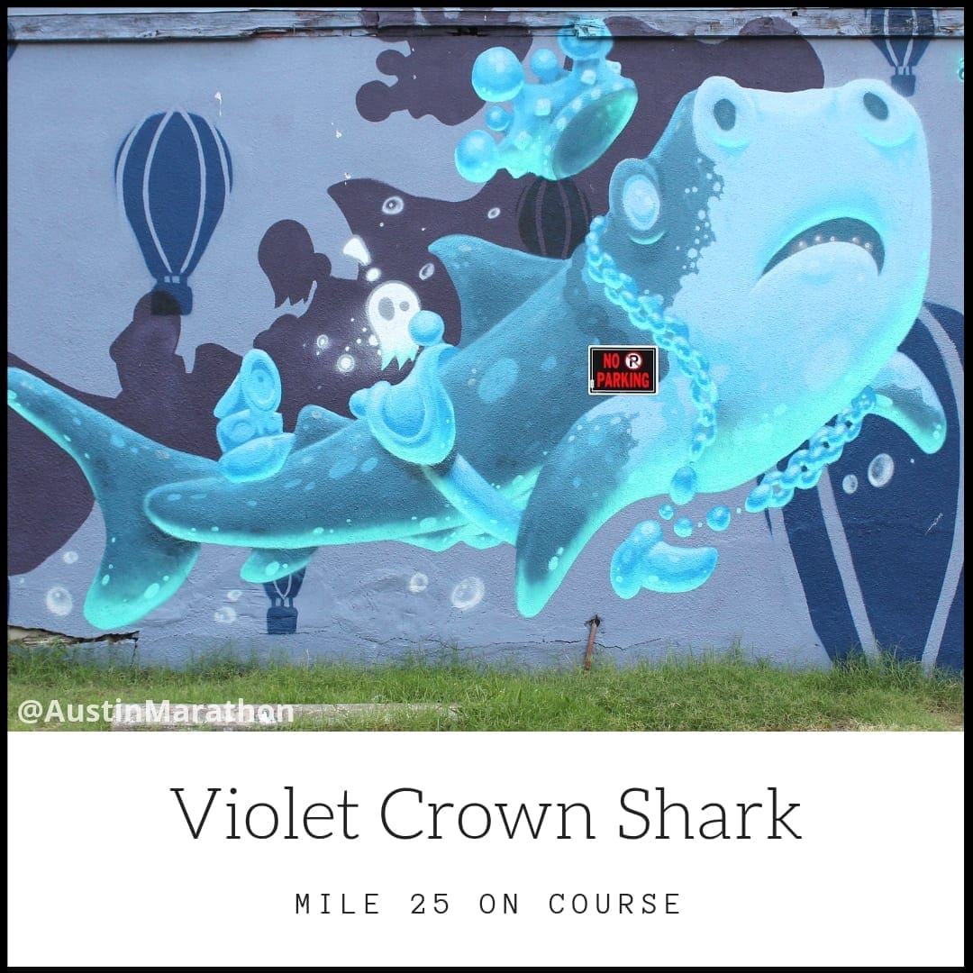 Violet crown shark mural with floating bubbles Violet crown shark mural with floating bubbles