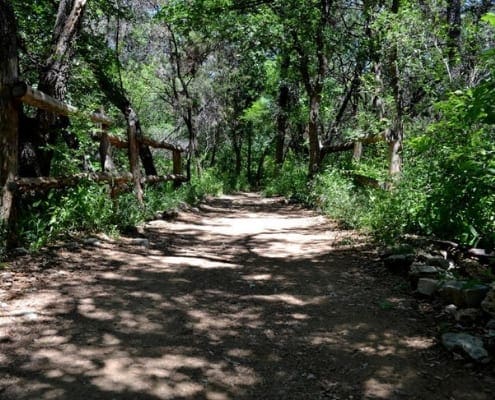Shaded wooded trail with wooden fence Shaded wooded trail with wooden fence