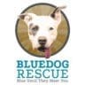 BlueDog Rescue logo featuring white dog