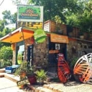 A stone building with potted plants and a “JuiceLand” sign welcomes you. A large butterfly wing sculpture stands out front, surrounded by greenery—perfect for any runner seeking Healthy Austin Restaurants on a sunny day. Austin Marathon Half Marathon & 5K