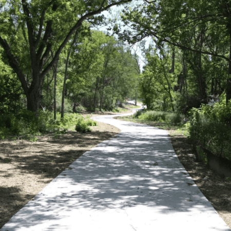 A paved path winds through a lush, green forest with tall trees providing partial shade on a sunny day—perfect for summer training on Austin’s renowned shaded running trails. Austin Marathon Half Marathon & 5K
