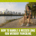 A woman in athletic wear sits on a rock by the water, city skyline behind her. Text reads: “Running tips: How to handle a missed long run without panicking.”. Austin Marathon Half Marathon & 5K